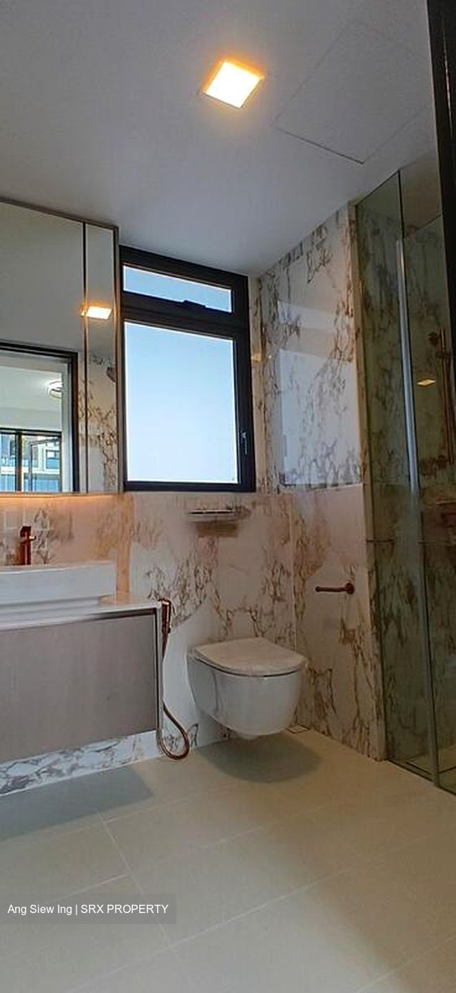 Irwell Hill Residences (D9), Apartment #458136471